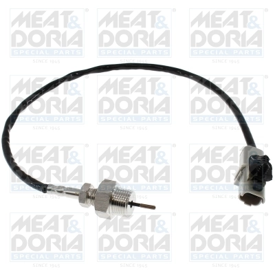 Sensor, exhaust gas temperature
